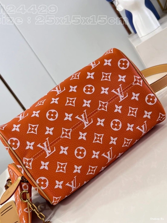 Louis Vuitton SPEEDY 25 0717